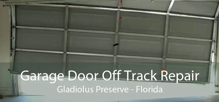 Garage Door Off Track Repair Gladiolus Preserve - Florida