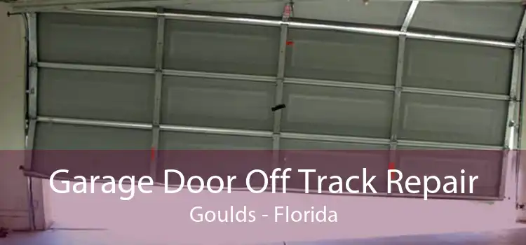 Garage Door Off Track Repair Goulds - Florida