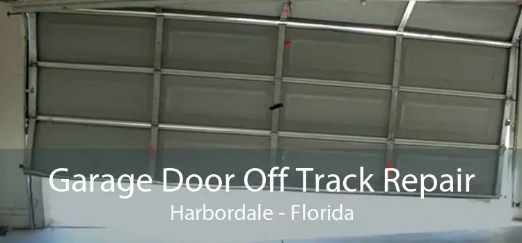 Garage Door Off Track Repair Harbordale - Florida