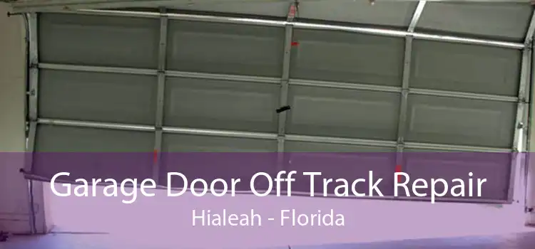 Garage Door Off Track Repair Hialeah - Florida