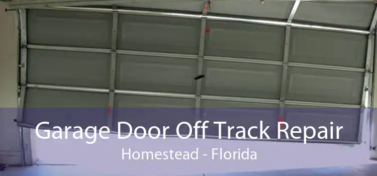 Garage Door Off Track Repair Homestead - Florida