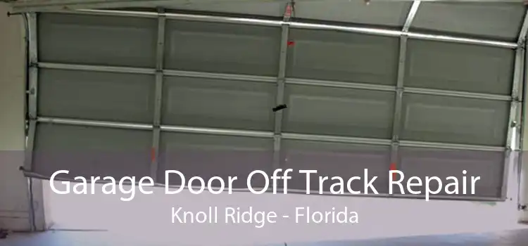 Garage Door Off Track Repair Knoll Ridge - Florida