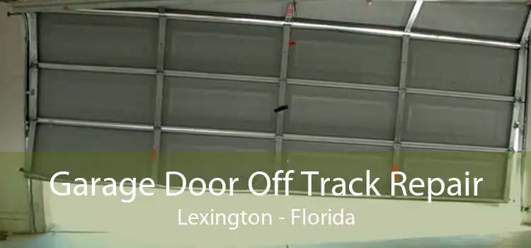 Garage Door Off Track Repair Lexington - Florida