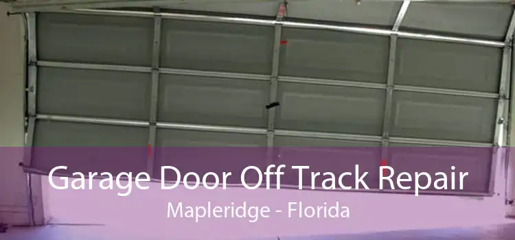 Garage Door Off Track Repair Mapleridge - Florida