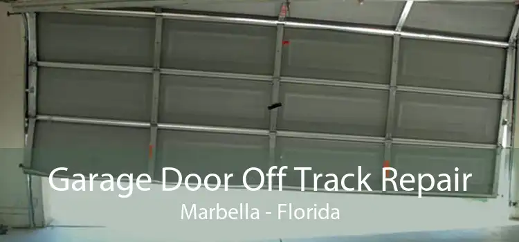 Garage Door Off Track Repair Marbella - Florida