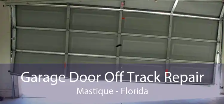 Garage Door Off Track Repair Mastique - Florida