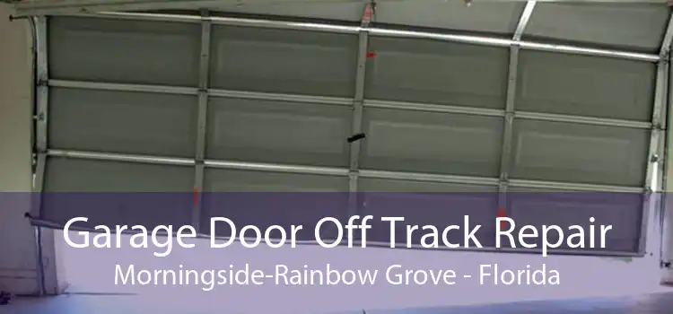 Garage Door Off Track Repair Morningside-Rainbow Grove - Florida