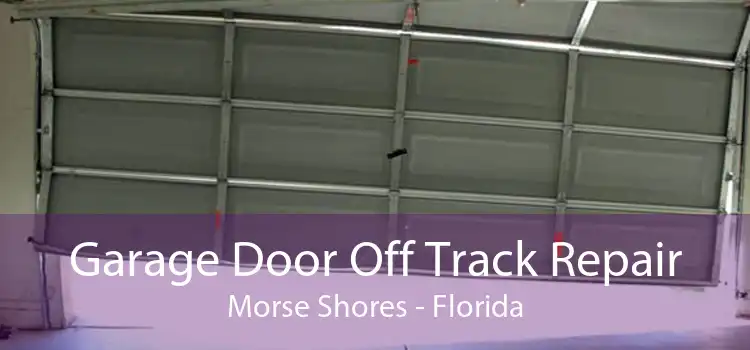 Garage Door Off Track Repair Morse Shores - Florida