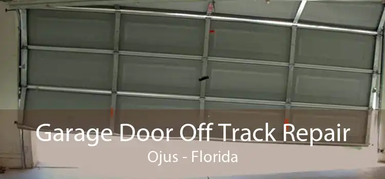 Garage Door Off Track Repair Ojus - Florida