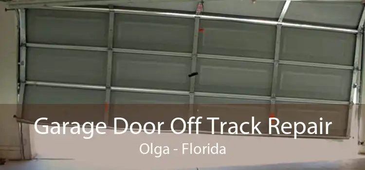 Garage Door Off Track Repair Olga - Florida