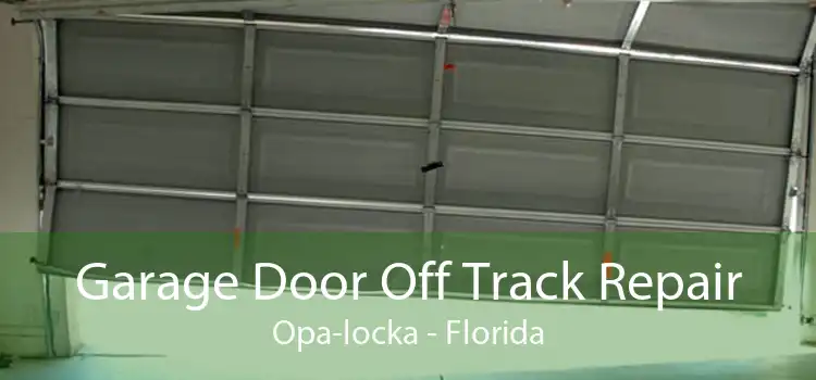 Garage Door Off Track Repair Opa-locka - Florida