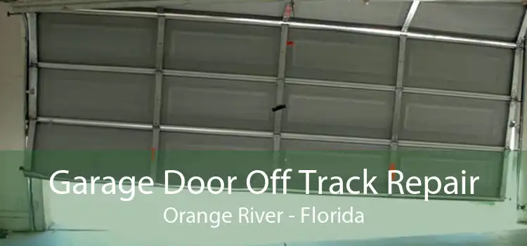 Garage Door Off Track Repair Orange River - Florida