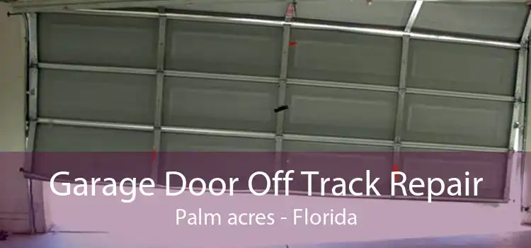 Garage Door Off Track Repair Palm acres - Florida