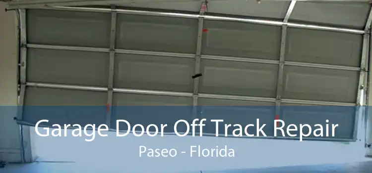 Garage Door Off Track Repair Paseo - Florida