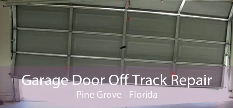 Garage Door Off Track Repair Pine Grove - Florida