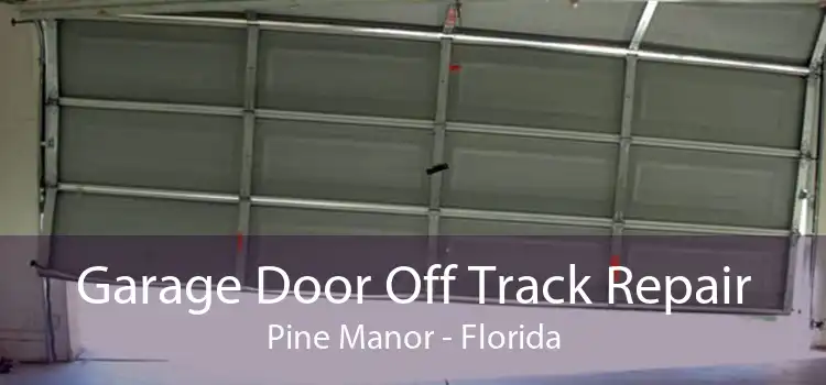 Garage Door Off Track Repair Pine Manor - Florida