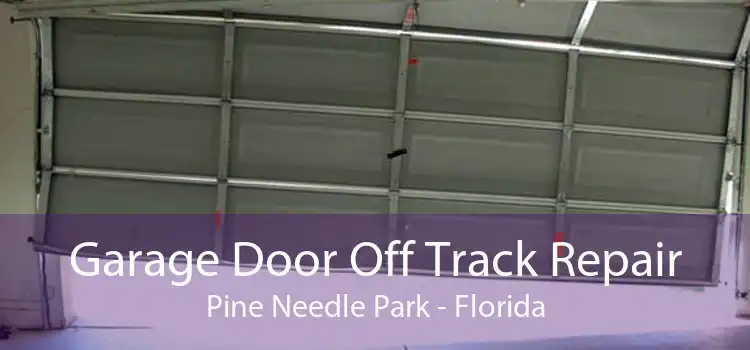 Garage Door Off Track Repair Pine Needle Park - Florida