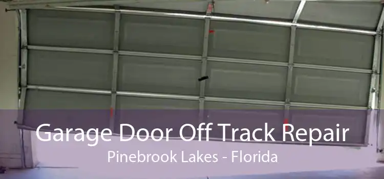 Garage Door Off Track Repair Pinebrook Lakes - Florida