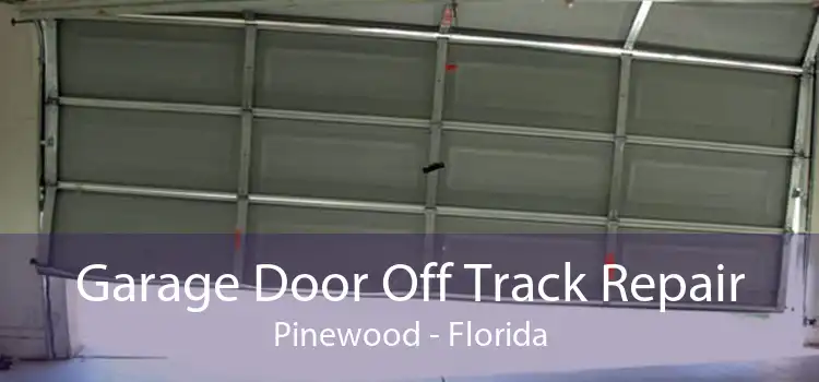 Garage Door Off Track Repair Pinewood - Florida