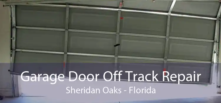 Garage Door Off Track Repair Sheridan Oaks - Florida