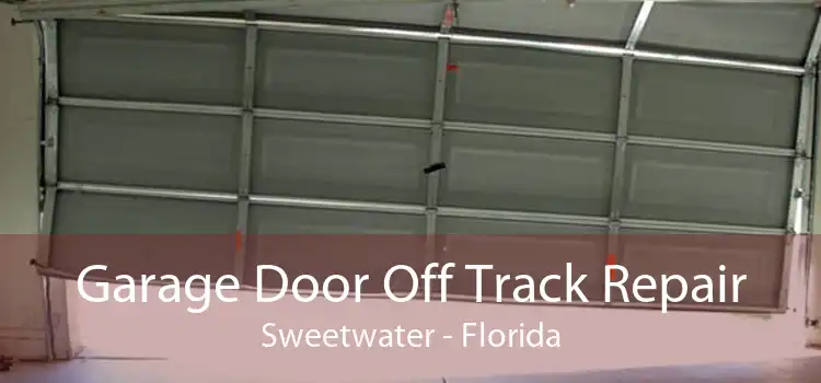 Garage Door Off Track Repair Sweetwater - Florida