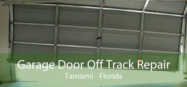 Garage Door Off Track Repair Tamiami - Florida