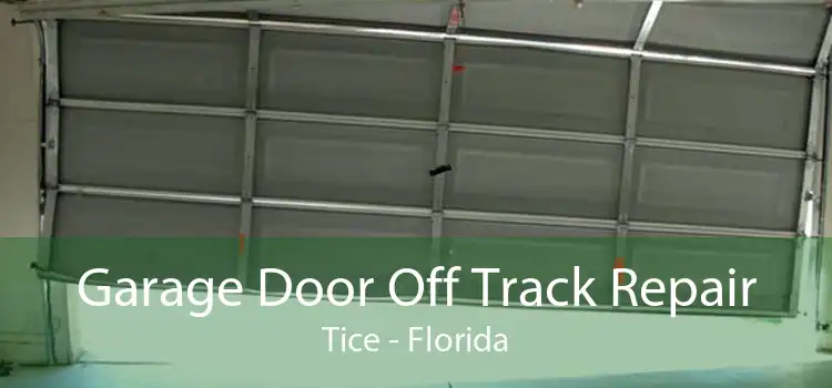 Garage Door Off Track Repair Tice - Florida