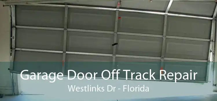 Garage Door Off Track Repair Westlinks Dr - Florida