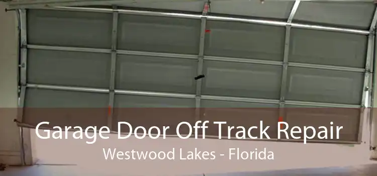 Garage Door Off Track Repair Westwood Lakes - Florida