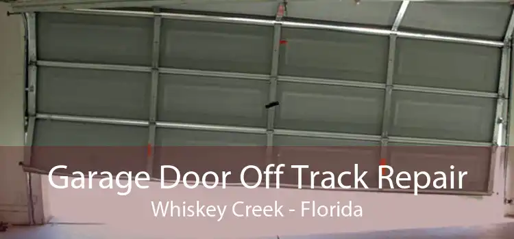 Garage Door Off Track Repair Whiskey Creek - Florida