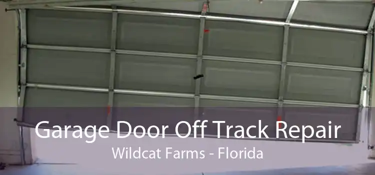 Garage Door Off Track Repair Wildcat Farms - Florida