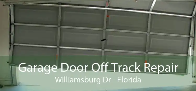 Garage Door Off Track Repair Williamsburg Dr - Florida