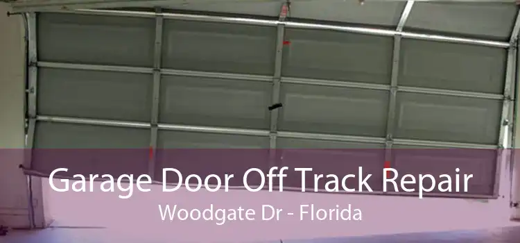 Garage Door Off Track Repair Woodgate Dr - Florida