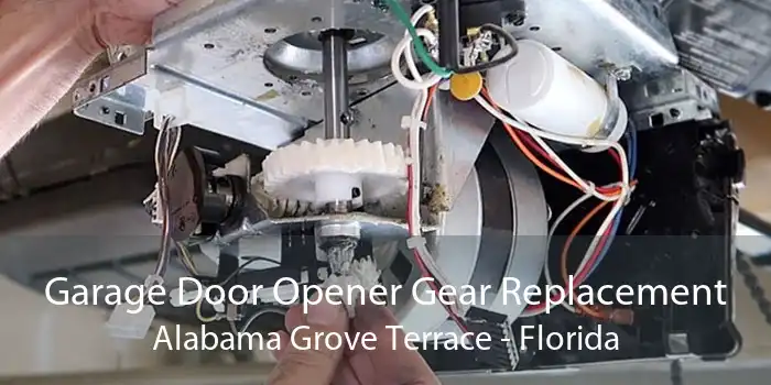 Garage Door Opener Gear Replacement Alabama Grove Terrace - Florida