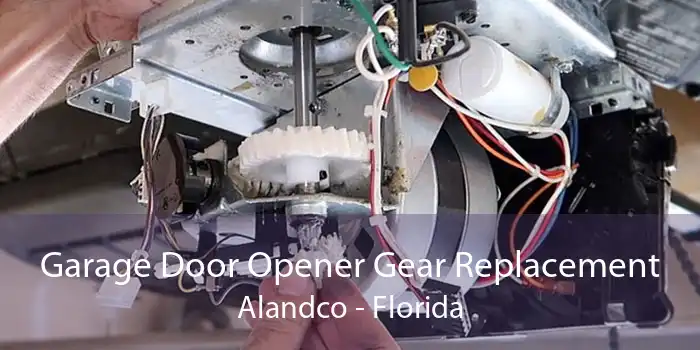 Garage Door Opener Gear Replacement Alandco - Florida