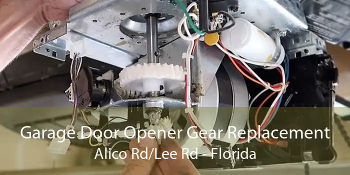 Garage Door Opener Gear Replacement Alico Rd/Lee Rd - Florida