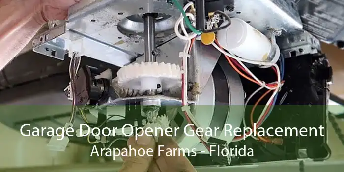 Garage Door Opener Gear Replacement Arapahoe Farms - Florida