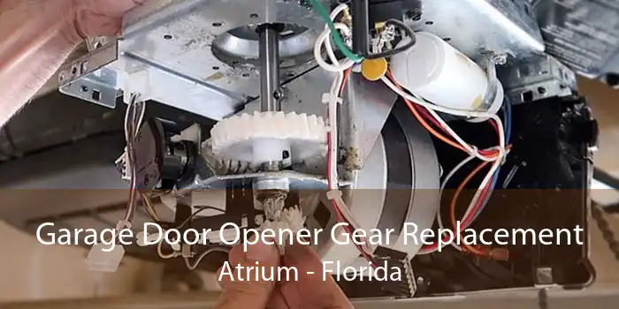 Garage Door Opener Gear Replacement Atrium - Florida