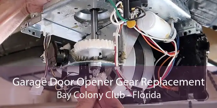 Garage Door Opener Gear Replacement Bay Colony Club - Florida