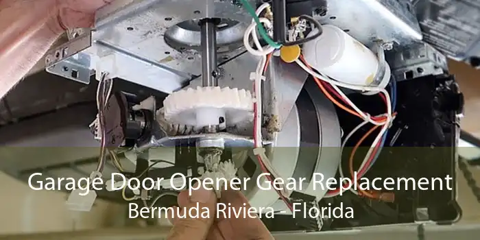 Garage Door Opener Gear Replacement Bermuda Riviera - Florida