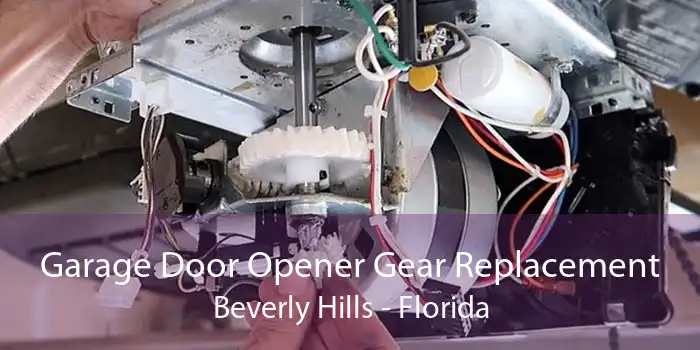 Garage Door Opener Gear Replacement Beverly Hills - Florida