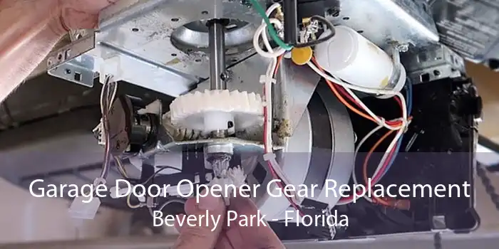 Garage Door Opener Gear Replacement Beverly Park - Florida