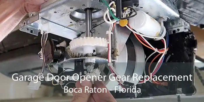 Garage Door Opener Gear Replacement Boca Raton - Florida