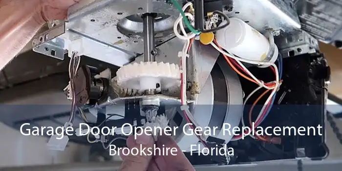 Garage Door Opener Gear Replacement Brookshire - Florida