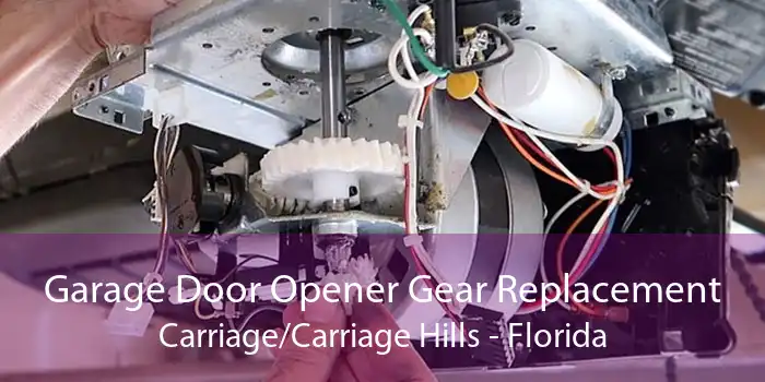 Garage Door Opener Gear Replacement Carriage/Carriage Hills - Florida