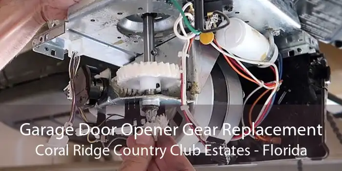 Garage Door Opener Gear Replacement Coral Ridge Country Club Estates - Florida