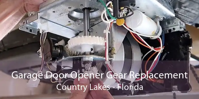 Garage Door Opener Gear Replacement Country Lakes - Florida