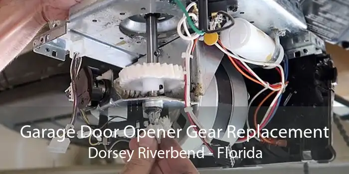 Garage Door Opener Gear Replacement Dorsey Riverbend - Florida