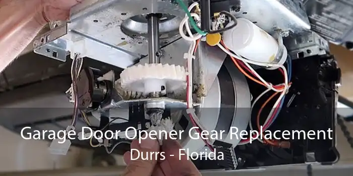 Garage Door Opener Gear Replacement Durrs - Florida