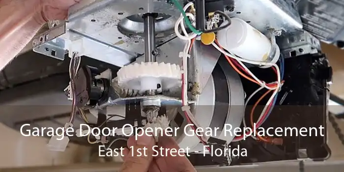 Garage Door Opener Gear Replacement East 1st Street - Florida